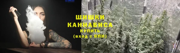 индика Няндома