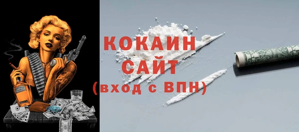 индика Няндома