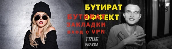 индика Няндома