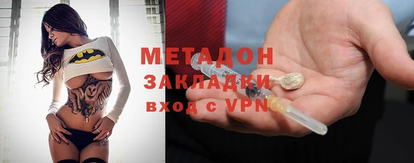 индика Няндома