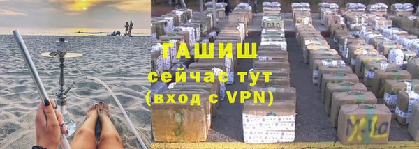 индика Няндома