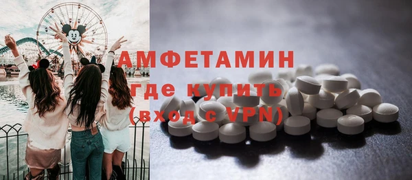 индика Няндома