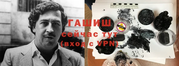 индика Няндома