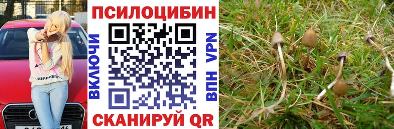 ссылка на мегу рабочий сайт  продажа наркотиков  Уржум  Галлюциногенные грибы GOLDEN TEACHER 